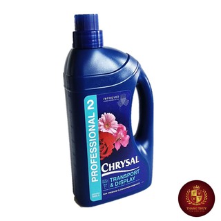 Dưỡng hoa bình Chrysal 20cm x 10cm Phụ kiện hoa