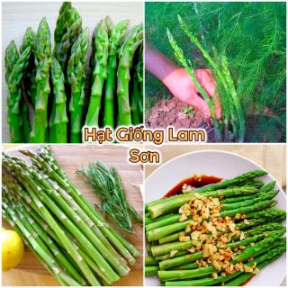 HẠT GIỐNG MĂNG TÂY XANH CHỊU NHIỆT - Món Ăn Ngon, Phòng Bệnh Và Chữa Bệnh.