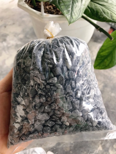 Đá sỏi đen trang trí hồ cá