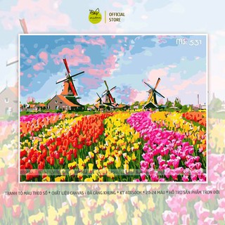Tổng Hợp Tranh Vẽ Cánh Đồng Hoa Tulip Giá Rẻ, Bán Chạy Tháng 9/2023 -  Beecost