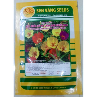 hạt giống hoa mười giờ mỹ cánh đơn gói 0.5 gr