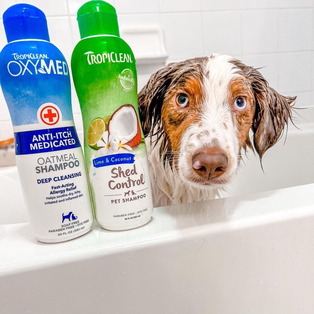 Sữa tắm trị viêm da nấm da cho chó mèo Oxymed 592ml xuất xứ Mỹ