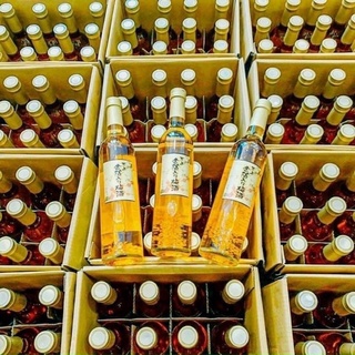 MƠ VẢY VÀNG KIKKOMAN NHẬT - chai 500