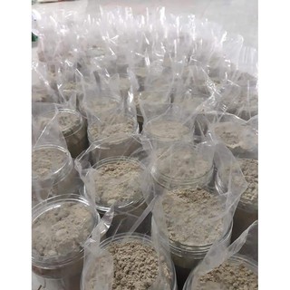 Bột Ngũ Cốc Dinh Dưỡng (22 Loại hạt +++)