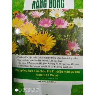Hạt giống hoa cúc châu phi f1 nhiều màu ❤️freeship xtra❤️