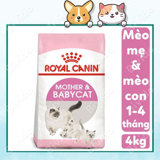 Thức ăn Royal Canin Mother & Babycat mèo mẹ mèo con bao 4kg - Bivido