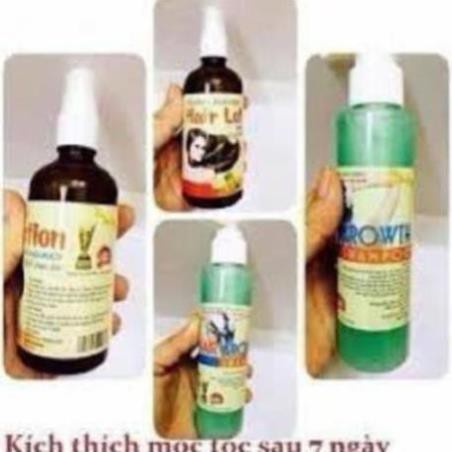 Bộ sản phẩm tinh dầu bưởi chống rụng tóc LOTION TINH DẦU BƯỞI và DẦU GỘI BƯỞI