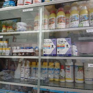 GA3 viên sủi 5gr