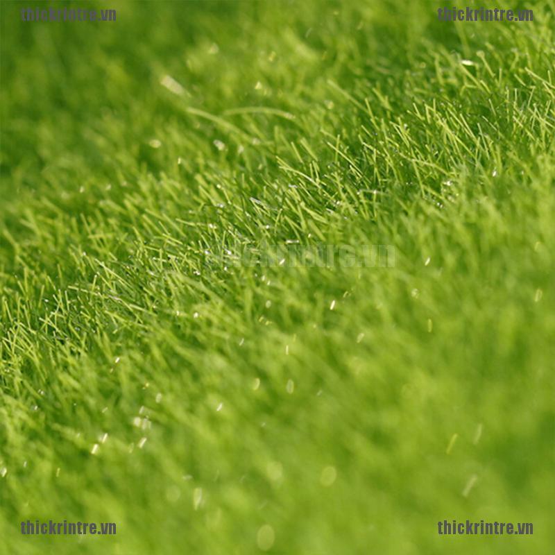 &lt; Hot ~ Mới &gt; Tượng Cỏ Mini Trang Trí Nhà Búp Bê