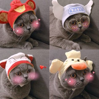 🧧 Nón Mũ Thần Tài Mèo May Mắn Cho Chó Mèo Thú Cưng