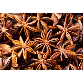 Hạt giống đại hồi - Tặng gói hạt giống ngẫu nhiên