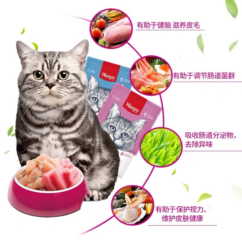 Pate Wanpy thức ăn cho mèo dinh dưỡng tăng cân siêu thơm ngon Surica WP04 (gói 80gr)