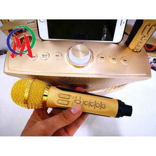 Loa SD 306 kèm 2 Micro, loa cú mèo hát karaoke âm thanh lớn, micro hát siêu nhẹ, hút âm tốt