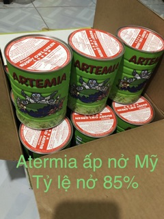 Cám INVE 3/5 bao 3kg