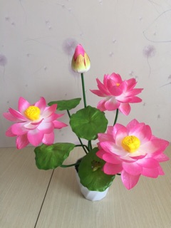 Những bình hoa đẹp (ảnh thật)