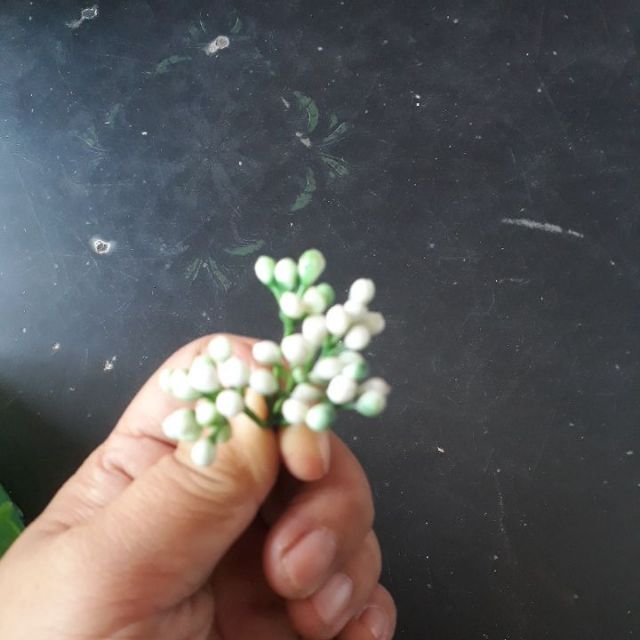 100 gram cỏ điểm