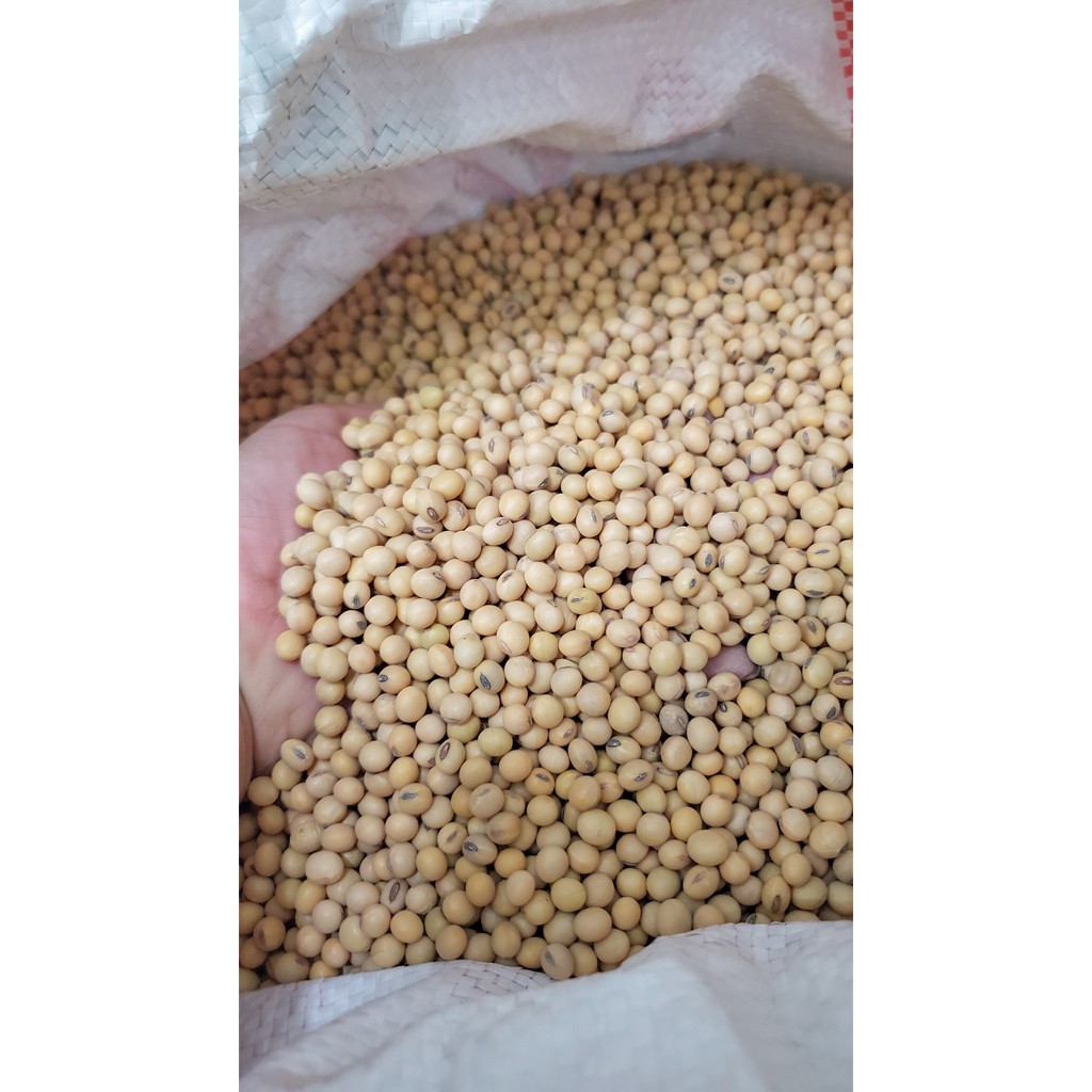 Đậu nành - Đậu tương nhập Mỹ, Canada loại 1Kg | Bếp Nhà Đậu - Thế giới ăn vặt - Ăn sập Sài Gòn. | BigBuy360 - bigbuy360.vn