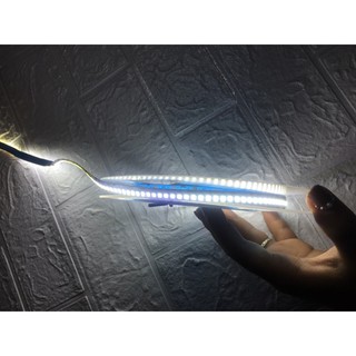 Cuộn Led Dán 5m 2835 Điện 12V ( 240 mắt/m),Led Cuộn 5M,Led Dán 5m