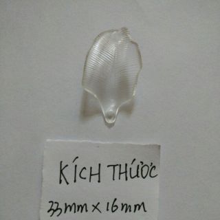 100 g nguyên liệu hoa pha lê: cánh móng rồng.
