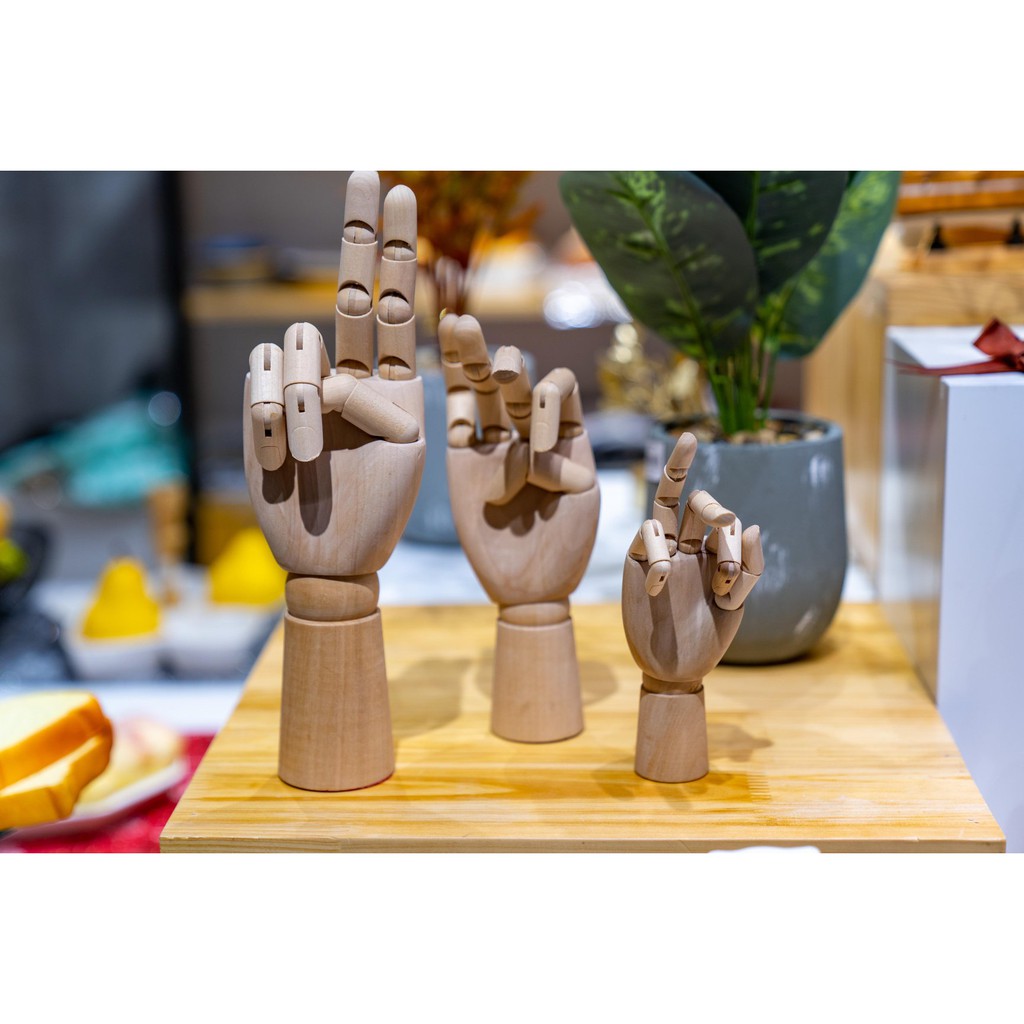 Mô hình bàn tay gỗ