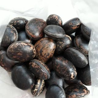 hạt đậu lào 500g -1kg