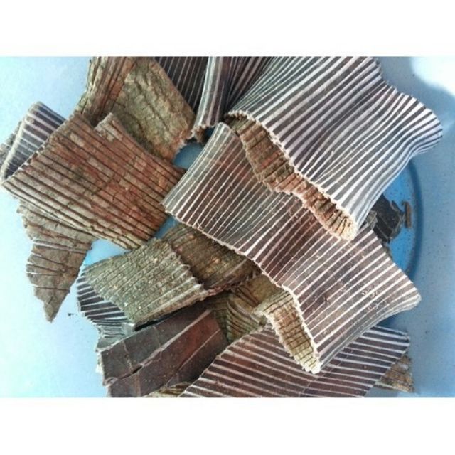 Sỉ như lẻ 100g đỗ trọng
