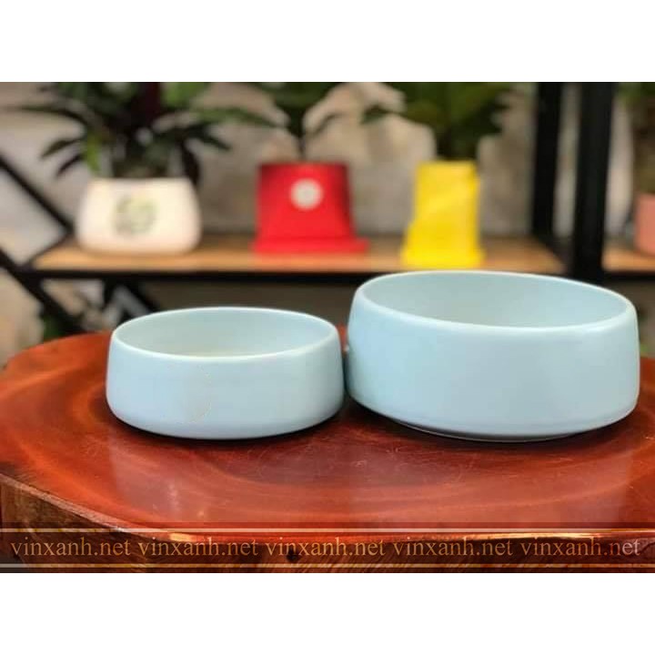 Chậu sứ trồng cây mix sen đá, xương rồng, cây cảnh để bàn đường kính 13-17cm