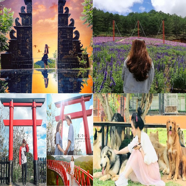 TOUR ĐÀ LẠT VIEW - CỔNG TRỜI BALI - NÔNG TRẠI CÚN 3N3D
