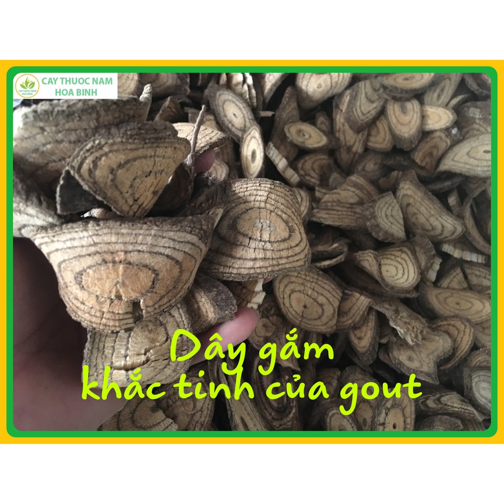 1kg dây gắm khắc tinh của gout đau nhức xương khớp