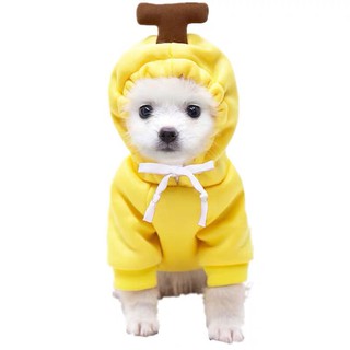 Áo nỉ cho chó mèo