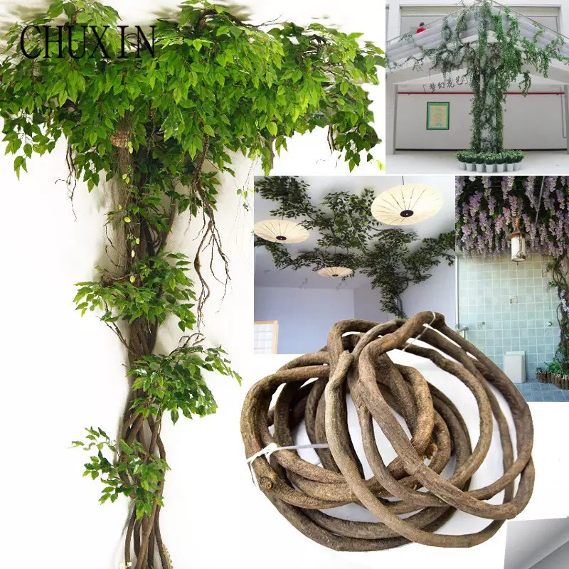 Cuộn Dây Rừng Thiên Nhiên Làm Cây Leo Giả, Trang Trí Cổng Vòm Sự Kiện, Tiệc Cưới