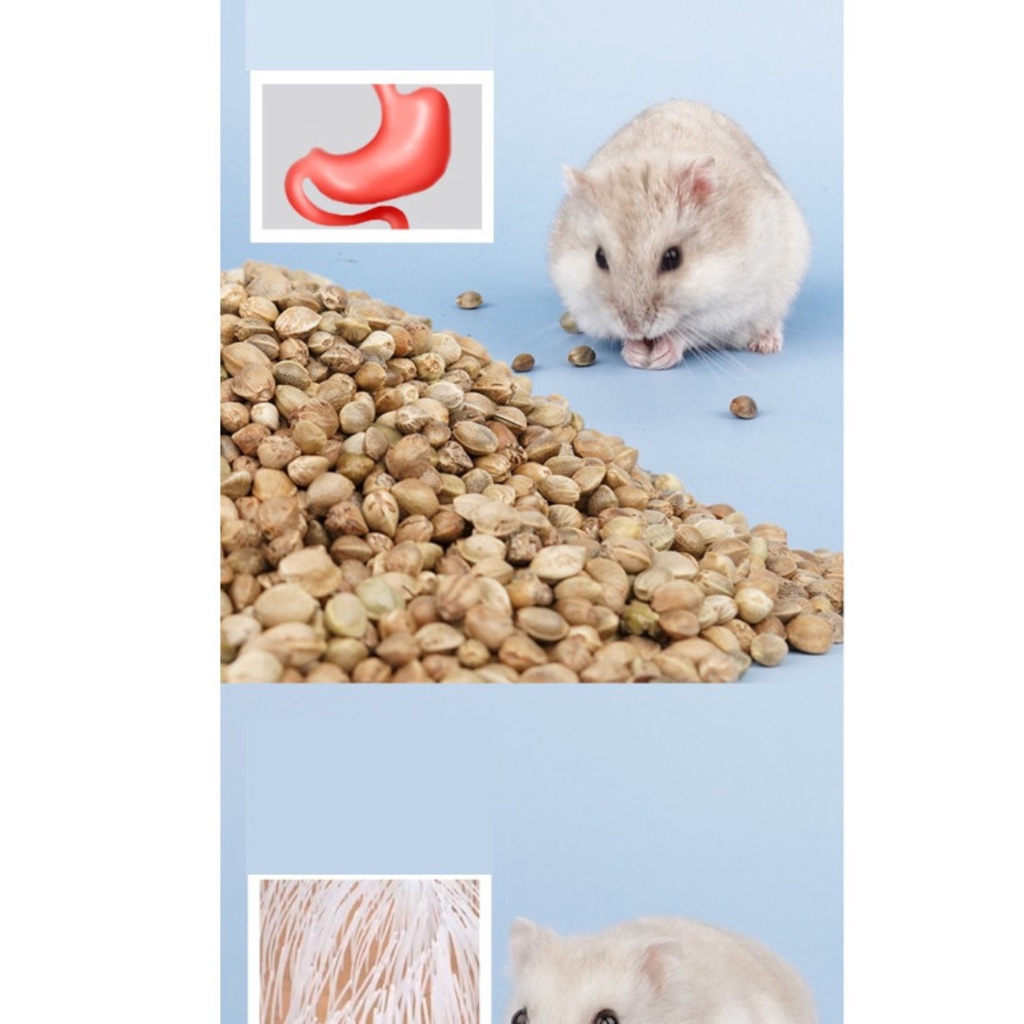 Thức ăn hạt cho hamster , sóc , nhím hãng Jonsanty