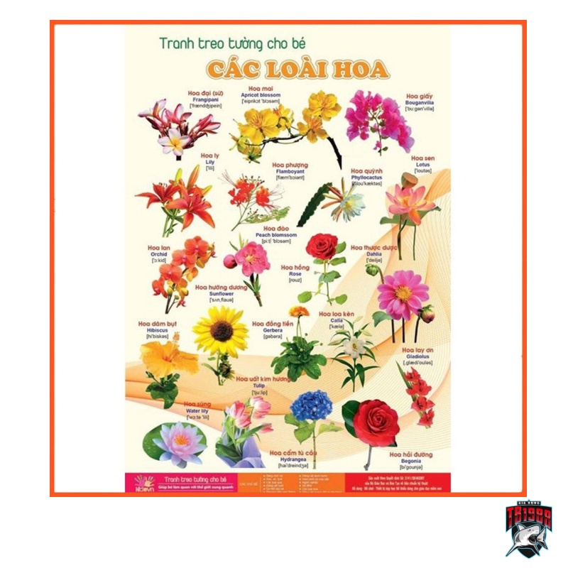 Tranh treo tường 14 chủ đề in chống lóa
