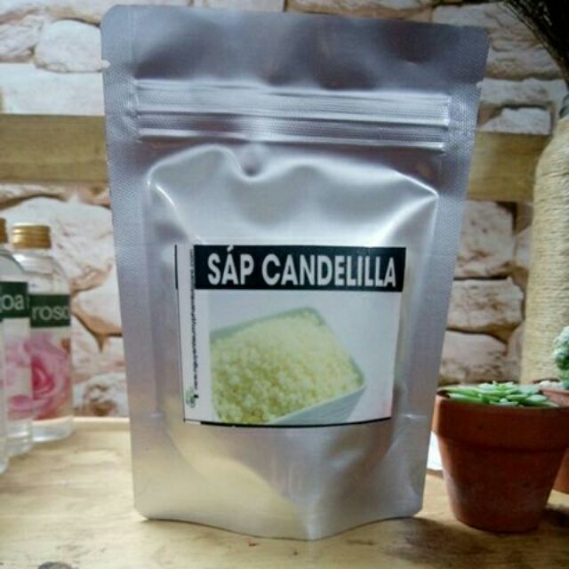 Sáp candelilla