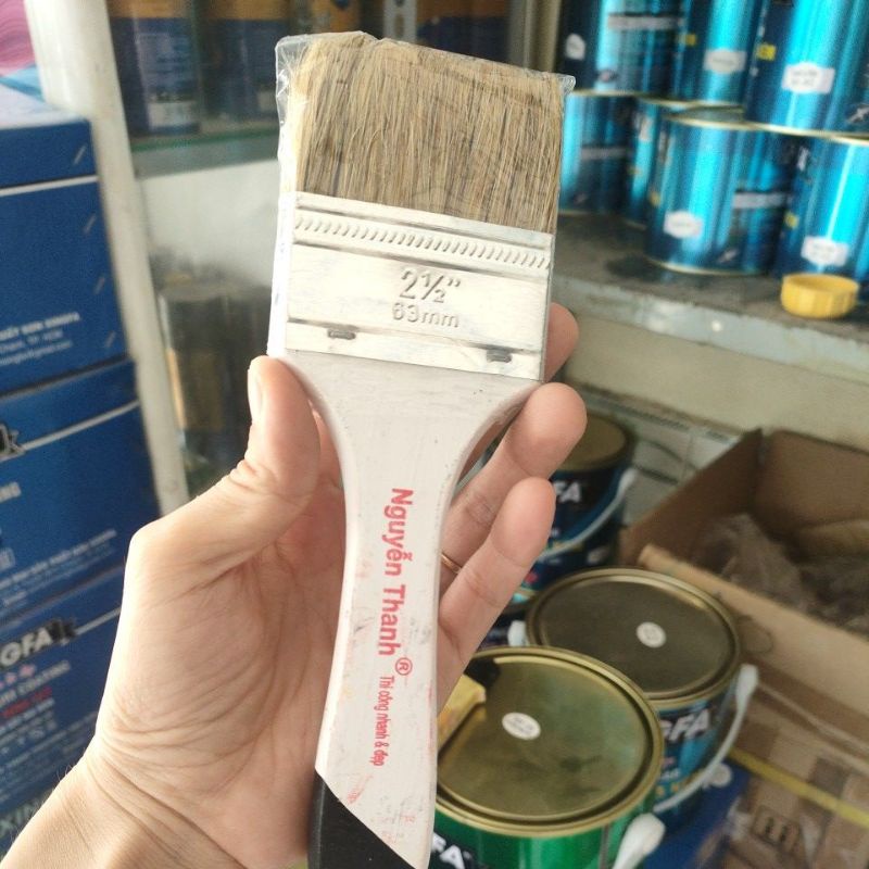 Cọ cán vàng lông heo đủ kích thước