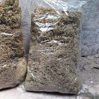 Combo 500g rêu rừng loại 1