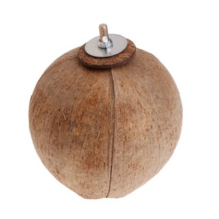 Tổ chim bằng gáo dừa tự nhiên