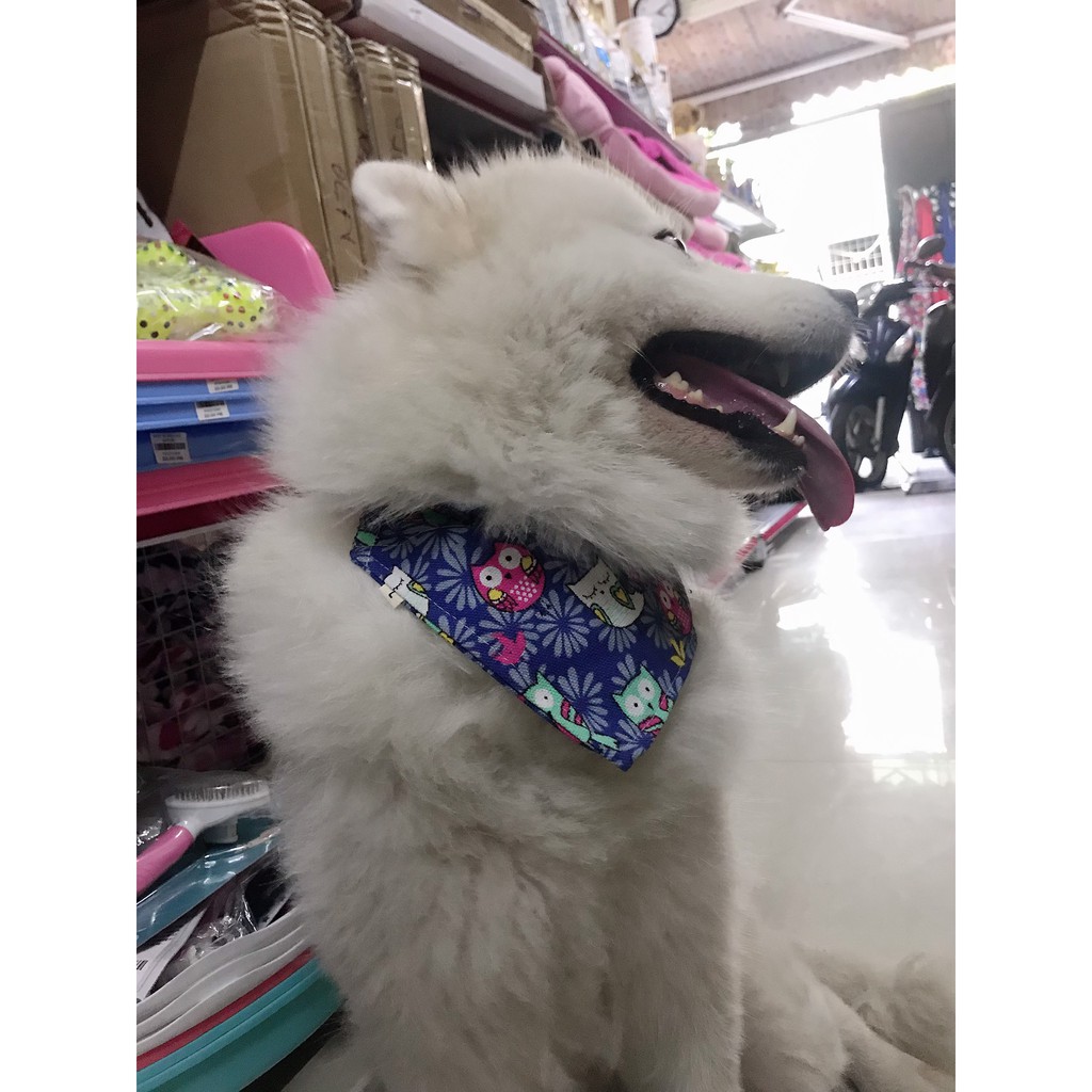 VÒNG CỔ CHO CHÓ CÓ KÈM KHĂN YẾM XUDAPET  - XDP01VCK