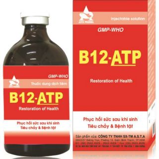 Tăng thể lực B12 - ATP
