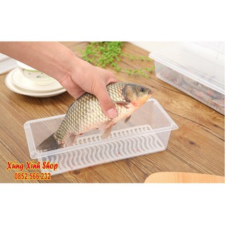 Hộp đựng thực phẩm có khay ráo nước