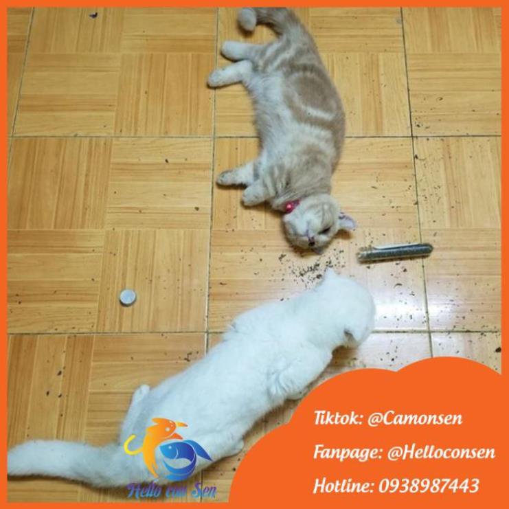 Ống cỏ bạc hà Bioline ECOPETS cho mèo giảm stress bạc hà mèo giúp hưng phấn - 45ml