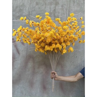 a đào râu đẹp combo 10 cành