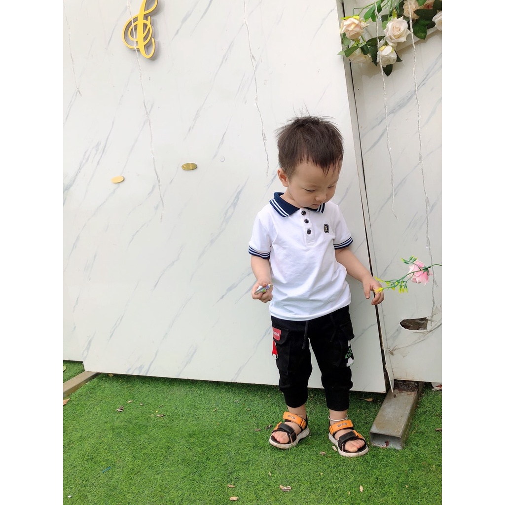 Combo 2 áo Polo cho Bé Trai cao cấp (9-29kg)- Royal KIDS