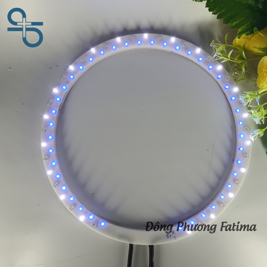 Vòng Led Đôi Màu Xanh Trắng