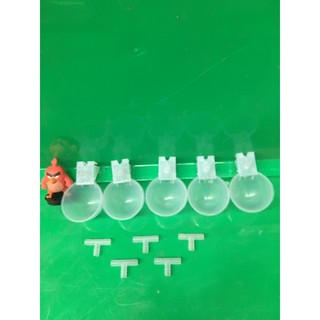 Cóng  tự động dành cho chim x5 cái