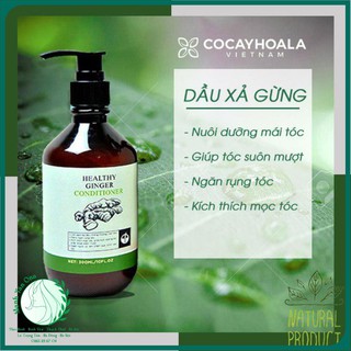 💥💧[CHÍNH HÃNG]💥💧 Dầu Xả Gừng Tươi Dưỡng Tóc Mềm Mượt Cocayhoala 300ml [HOT NHẤT]💥💧