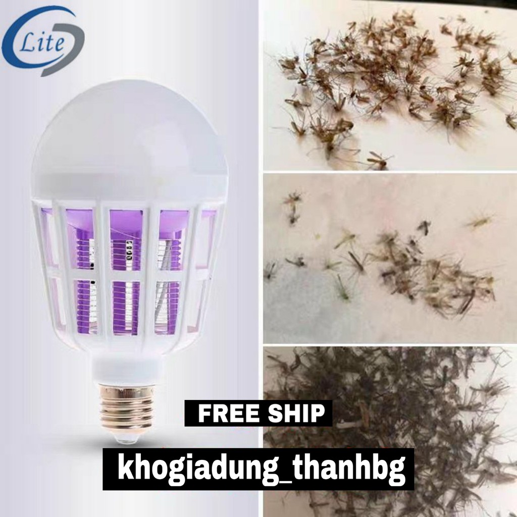 Đèn bắt muỗi điện quang đa năng vừa là bóng chiếu sáng,vừa là thiết bị diệt muỗi bảo vệ sức khỏe gia đình bạn