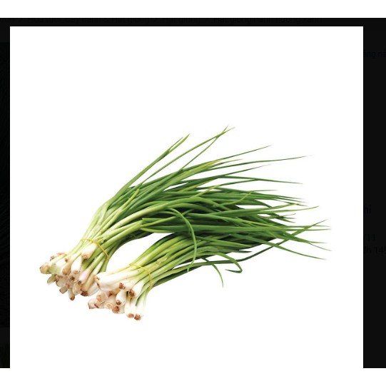 Hạt giống hành hương xanh