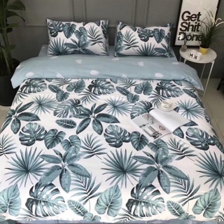 Set chăn ga gối cotton 100% (ib chọn mẫu)