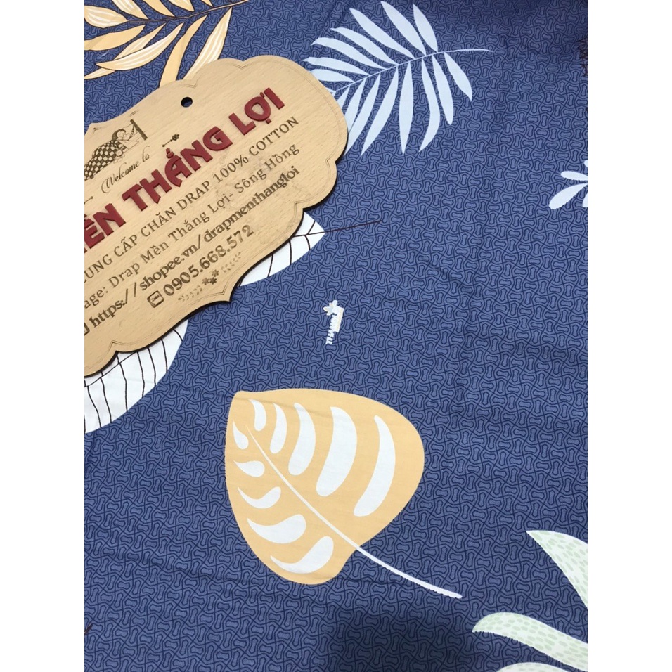 Bộ ga gối coton 100% không kèm chăn 4 món màu xanh đen sang sạch